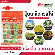 ปุ๋ย ปุ๋ยเกล็ด เวสโก้ ปุ๋ย เกล็ด 6 32 32 / 20 20 20 / 21 21 21 / 20 10 30 TE ขนาด 1 กิโลกรัม ฮอร์โมน