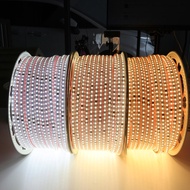 (Price for 1m) LED strip 120D 2835 220V, White - Neutral - Warm yellow, roll maximum length 100m