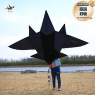 濰坊風箏舞天成人大型三角黑色立體戰鬥飛機風箏兒童卡通搭配線輪