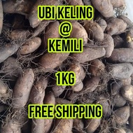 UBI KEMILI UBI KELING 1KG READY STOCK