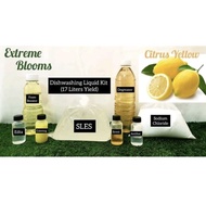 Cleaning Products DIY kit dishwashing and fabcon