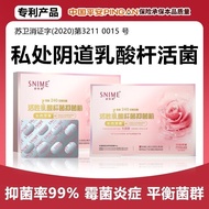 AA优推⭐Medical gynecological women's probiotics vaginal lactate pores live bacteria antibacterial anti