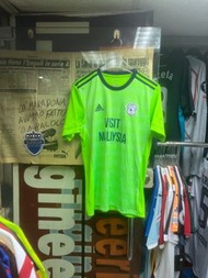 Cardiff City 2017 green away ss