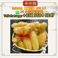 全港澳有實體店：蜘蛛膠，花膠，干貝，幹海參，舊花膠，老花膠，燕窩，幹鮑魚，魚翅，幹海參，鳘魚膠，赤嘴鳘魚膠，赤嘴鳯魚膠，赤嘴鰩魚膠，小須金錢膠，魚膠，靚花膠，大鬚金錢鳘魚膠，房膠，白花膠，花膠筒，筒膠