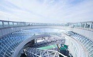 日本-HARUKA TICKET 關西機場-大阪・新大阪(特別版單程票)&大阪梅田空中庭園展望台入場券| 成人套票