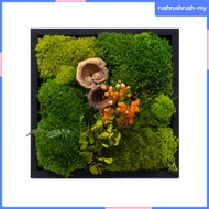 [RushrushrushMY] Moss Picture Frame 25x25cm