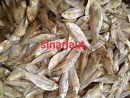 ikan asin LAPAN/kilat tipis kering 500gram/1kg