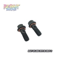 M8 DISC HOSE BOLT_M8 BANJO BOLT 12 THREAD ALREADY AVAILABLE COPPERRing