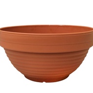 Baba BI-202 Flower Pot Size (Dia x H) : 16.3 x 8.5 cm
