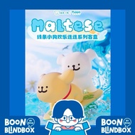 Maltese Series Enjoy The Moment Model [6 Pieces Of Box Lift]