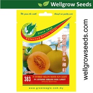 Cantaloupe Rock Melon Sunlight F1 (8 sds) 朝阳甜蜜瓜  Green Eagle GE383