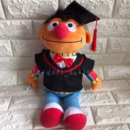 包SF櫃取 43cm 畢業公仔 芝麻街 安仔 ernie erine graduation doll 芝麻街畢業公仔 安仔畢業公仔 橙色芝麻街 moppy 芝麻街moppy 粉紅色芝麻街 環球影城 粉