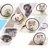 Pet collar number 7