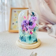 現貨-畢業禮物紫色康乃馨永生花玻璃罩