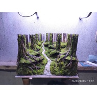 Hardscape jungle for tank 40.25.25cm ready to use