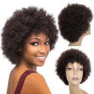 Wig Rambut Manusia Asli 100% Model Keriting Kecil Untuk Wanita