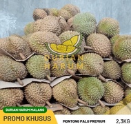 New Diskon!! Durian Montong Palu Premium Utuh Pilihan Bergaransi