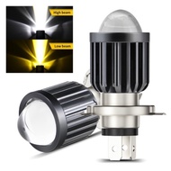 H4 D2 series lamp, white and yellow light