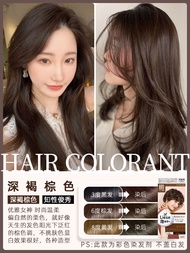 Kao Liese Foam Hair Dye Natural Plant Extract Nut Brown No Pain Pure Excitement Home Dyeing Japanese