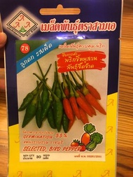 泰國辣椒種子