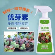 Shop Excellent Sprout Excellent Sprout Excellent Sprout Excellent Sprout Excellent Sprout Excellent 