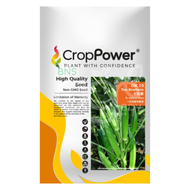 AgroBuddy x CropPower Okra Ladyfingers Seed | Benih Bendi OK10 羊角豆种子