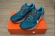 Nike Pegasus Trail 3 DA8697-300 越野跑鞋