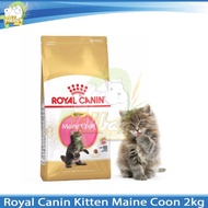 Royal Canin Kitten MaineCoon 2kg/RC Kitten Mainecoon 2 kg