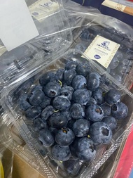 BLUEBERRY. BUAH BLUEBERRY FRESH. BUAH BERRY IMPORT. BUAH SEGAR