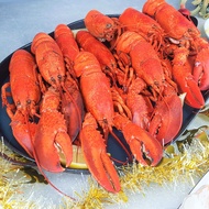 [Song Fish] Wild-caught Cooked Boston Lobster, 1 carton, 4.54kg (Wholesale Price)