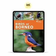 Photographic Guide: Birds of Borneo