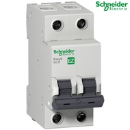 SCHNEIDER EZ9F51263 -MINIATURE CIRCUIT BREAKER- 2P - 63 A - C CURVE