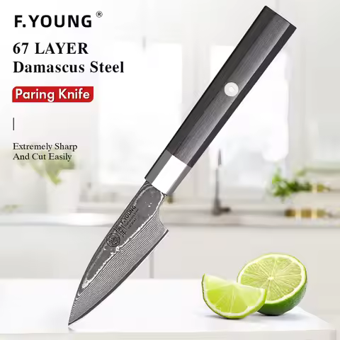 F.YOUNG 3" Paring Knife Real 67 Layer Damascus Steel Cooking Knife Petty Peeling Fruit Knife Profess