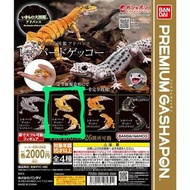 Premium Gashapon 豹紋守宮扭蛋