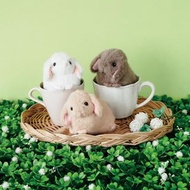 【訂購】YOU+MORE! 垂耳兔BB收納包