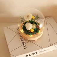 DIY 蒲公英發光玻璃罩永生花/乾花材料包diy/禮物送女友母親節情人節聖誕節禮物(T3739)