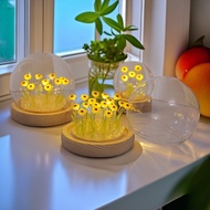 (TYPE 1) DIY sunflower night light with glass lid DIY meaningful gift for lover