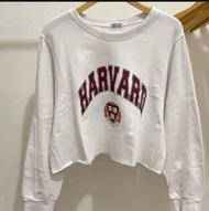 HARVARD Croope Oversize Sweater Wanita Terbaru