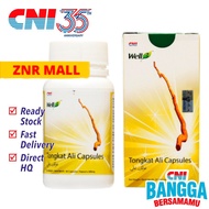 CNI Tongkat Ali Capsule (60 x 300mg) - Energy Booster, Muscle Build Up, Libido, Pure Tongkat Ali, Stamina &amp; Halal JAKIM