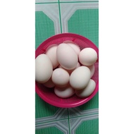 Telur Masin  (telur itik)/Salted Duck Egg  (1 Biji )