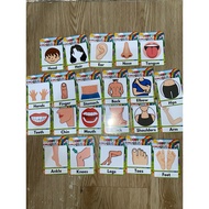 BODY PARTS Photo cards