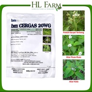 BM Cergas 20WG / Behn Meyer / Herbicide