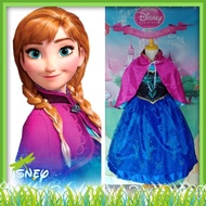Princess Anna from Frozen Costume | Disney Princess Costume