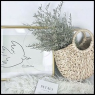 READY STOCK Caspia Dried Flower Natural Plant