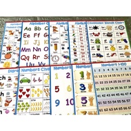 Laminated Educational Charts ~High Quality, Own Layout, affordable, 50 charts available