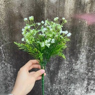 Baby flower branches decorate decor and events