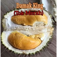 ANAK POKOK DURIAN TOK MERAH (DAMAK KING)