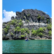 LANGKAWI MANGROVE TOUR