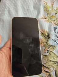 iPhone13 pro max 1tb