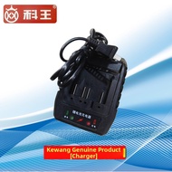 Lithium Battery Charger 21V